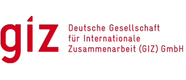 giz standard logo_0 1 e1757671173765